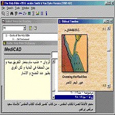 Arabic Bible 99
